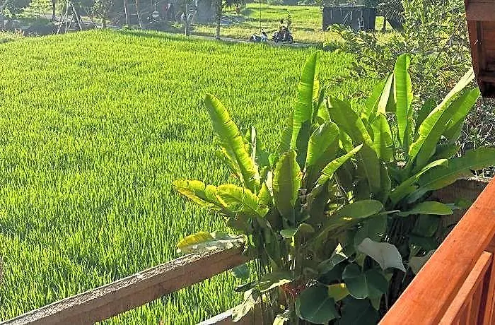 Aditara Sebatu ホテル バリ島