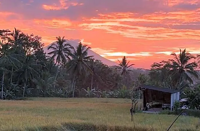 Aditara Sebatu