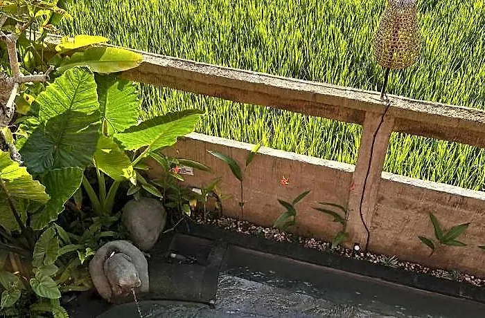 ホテル Aditara Sebatu