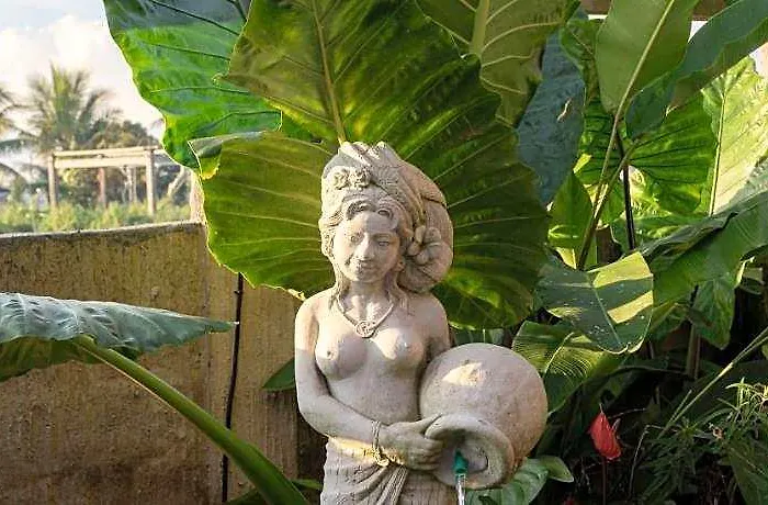 Aditara Sebatu